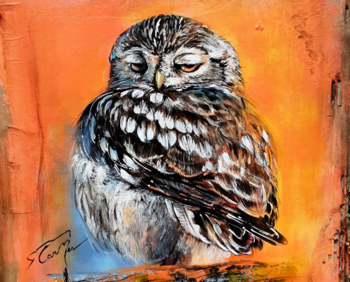 Boule de plumes
