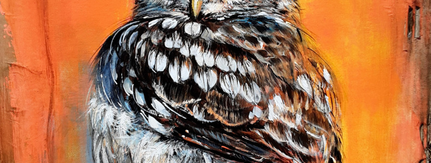 Boule de plumes