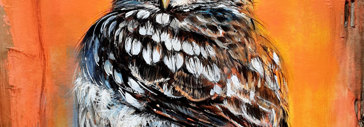 Boule de plumes